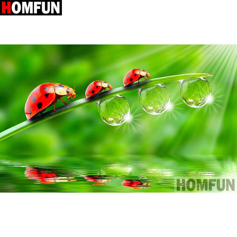 HOMFUN Art 5D Diy Diamond Pain - đánh giá và giá Embroidery Lady Bug