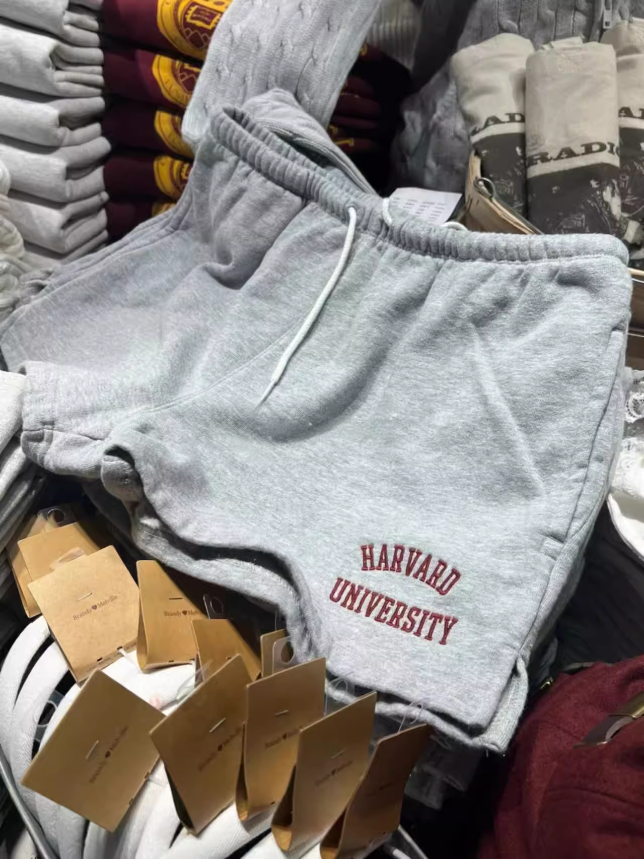BM Women's Grey Harvard Univer - đánh giá và giá Embroidery University