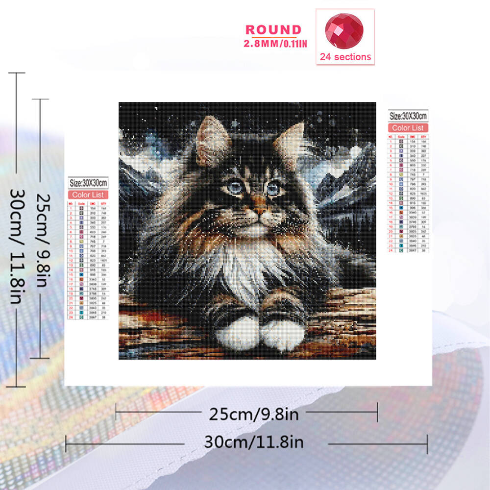 1pc frameless  5D DIY Diamond  - đánh giá và giá Embroidery Kit Set